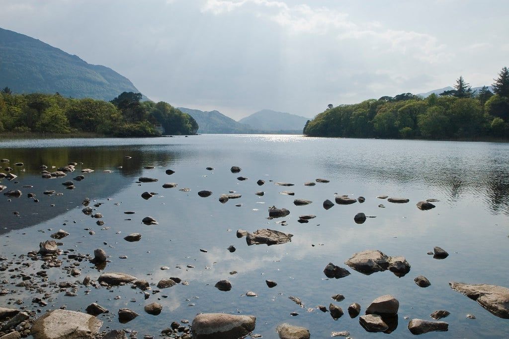 Scattered rocks rest in the calm waters along the forested shoreline of Muckross Lake in Killarney National Park.