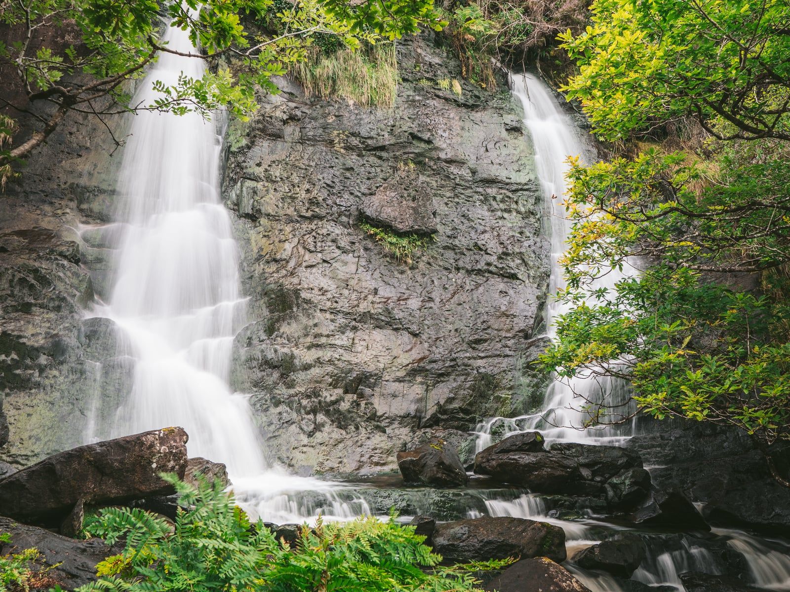 Der Torc Waterfall stürzt eine dunkle, felsige Klippe hinab, umgeben von üppigen Farnen und Bäumen im Killarney-Nationalpark.