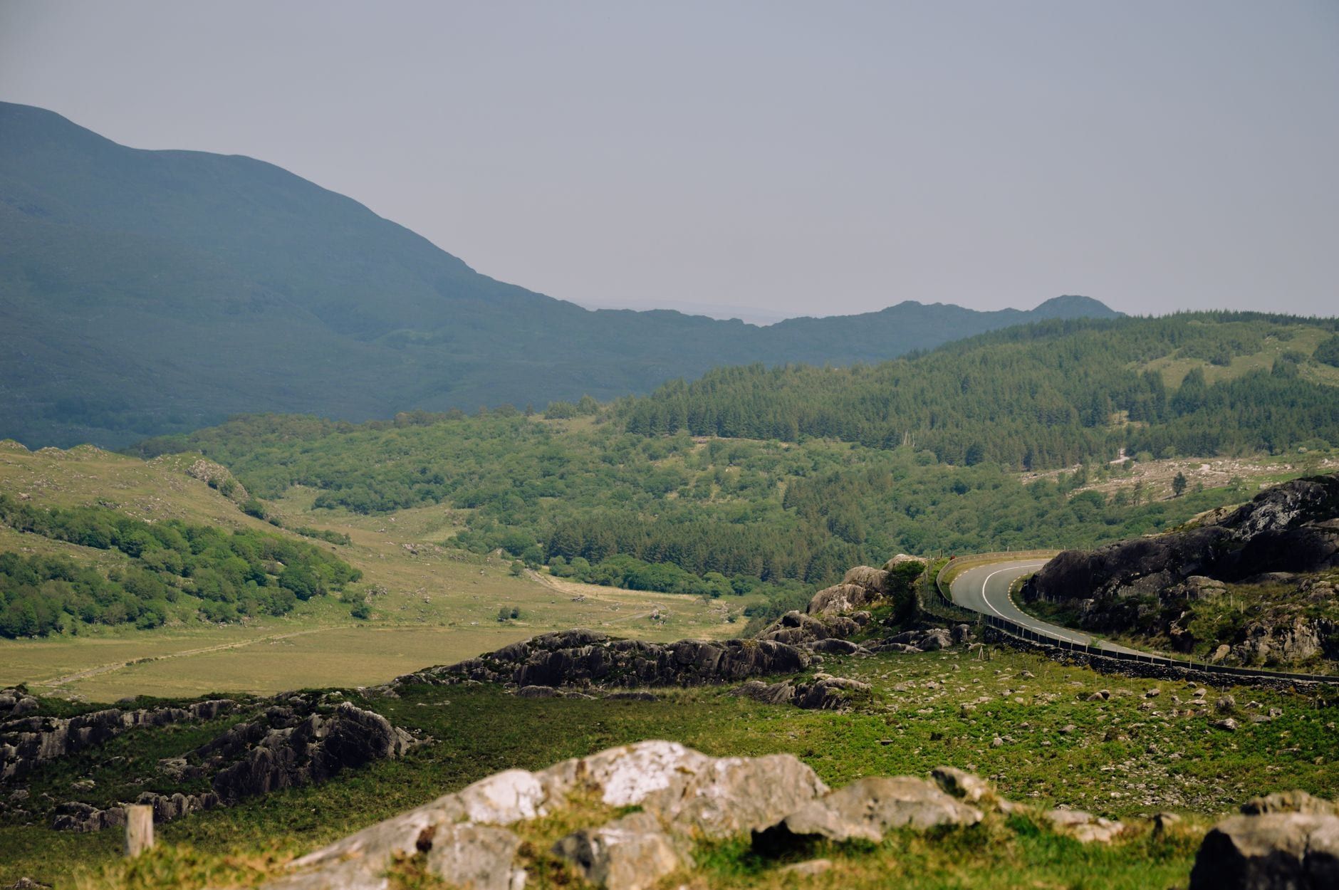 Eine sich schlängelnde Straße führt durch felsige Hänge, üppig grüne Wälder und sanfte Berge im Killarney-Nationalpark.