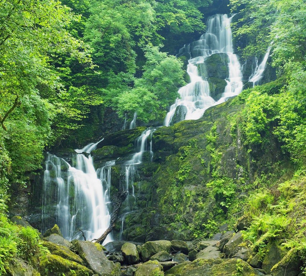 Torc Waterfall cascades down mossy rock ledges surrounded by lush green woodland in Killarney National Park.