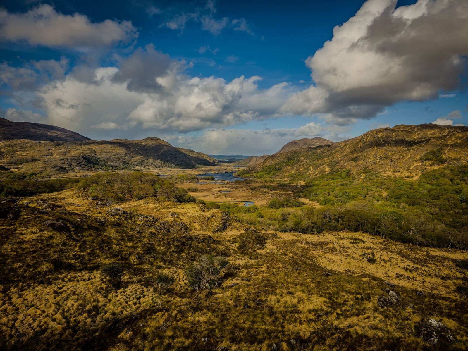 Panoramic view over the Upper Lake and rolling mountain slopes from Ladies View in Killarney National Park.