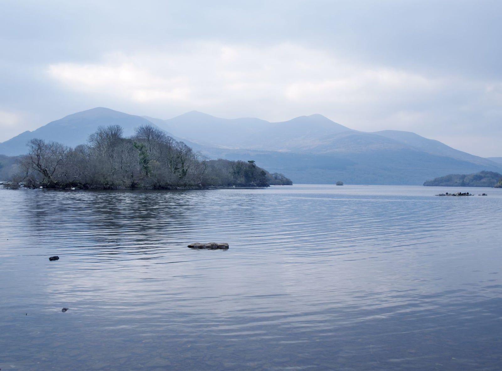 Des arbres dépouillés se dressent sur une île au milieu des eaux calmes d'un lac, avec des montagnes en arrière-plan dans le parc national de Killarney.