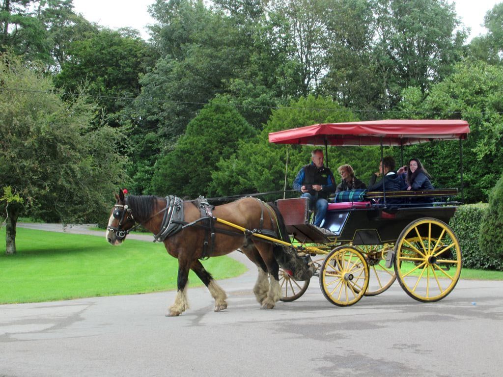 A horse-drawn jaunting car with bright yellow wheels and a red canopy carries passengers along a paved path in Killarney.