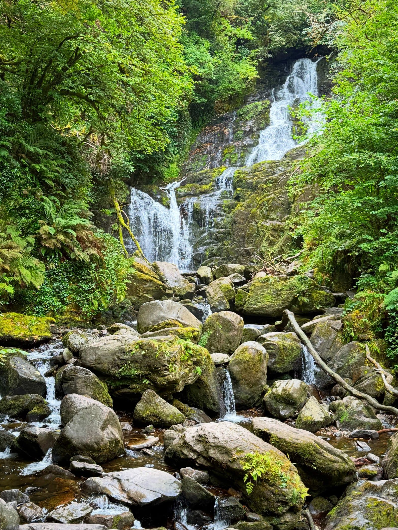 Ansicht von Killarney-Nationalpark