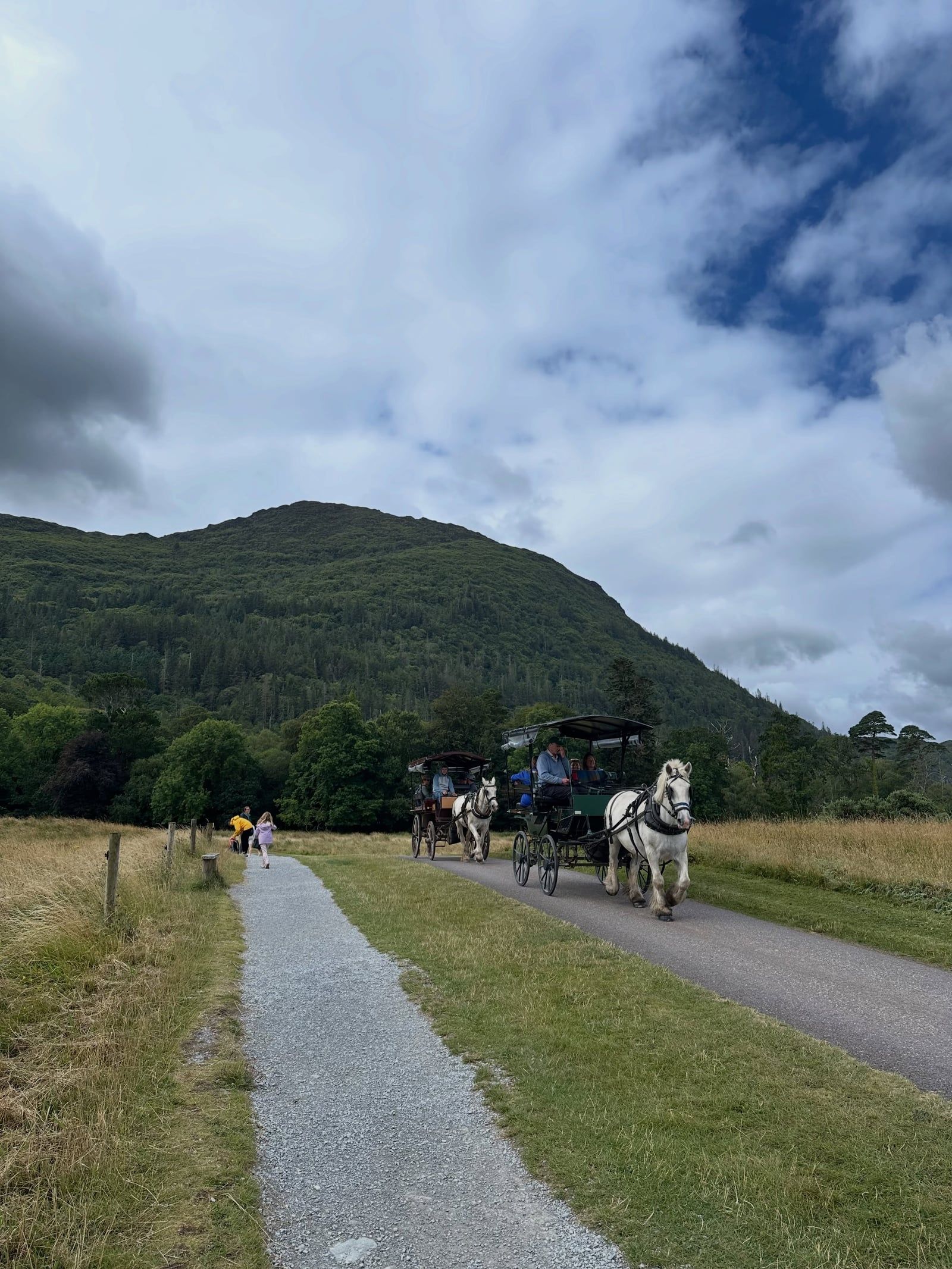 Killarney National Park tour visitor photo